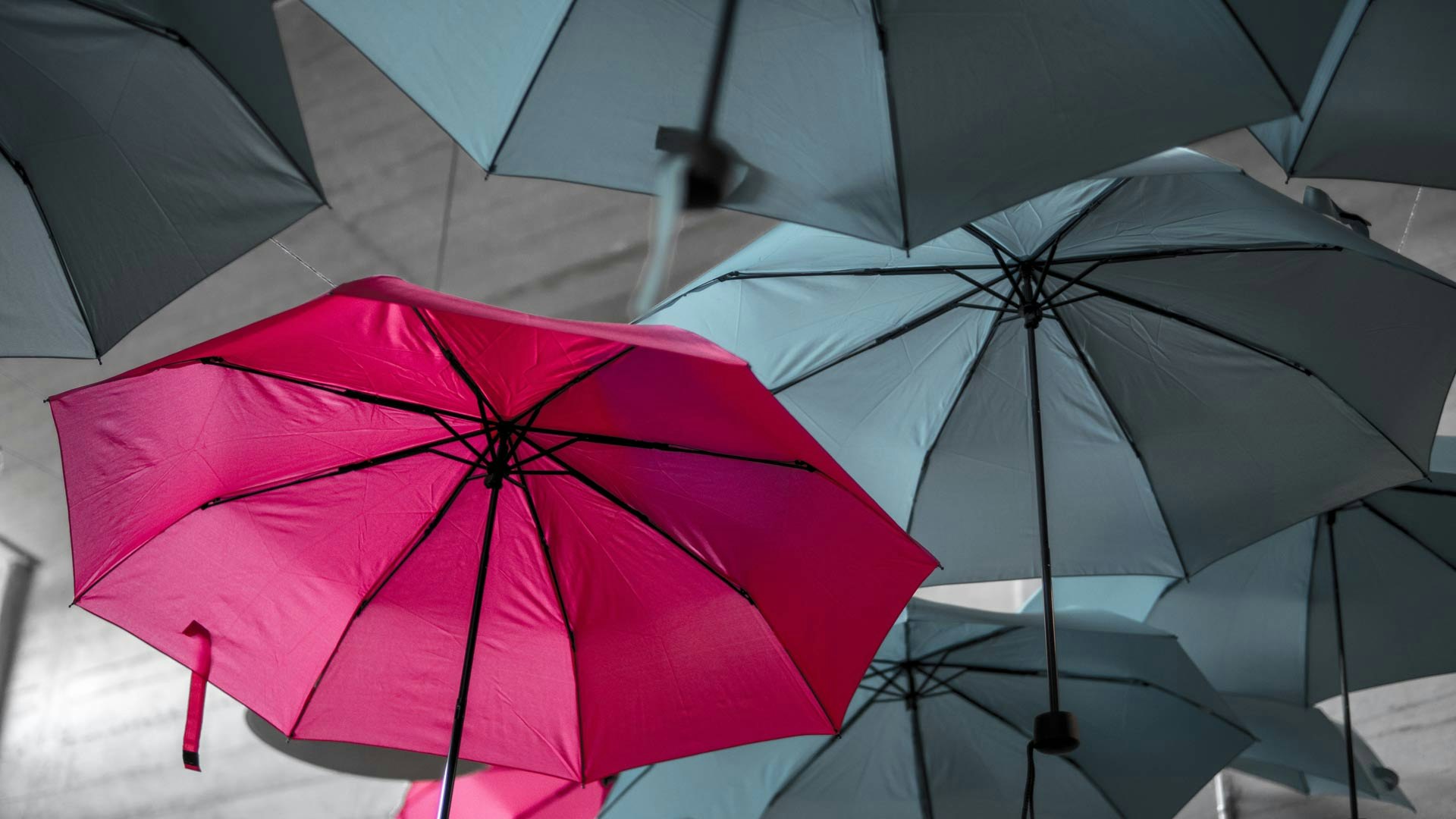 Pink Umbrella with Grey Umbrellas